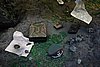 DSC01471.JPG
