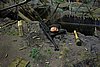 DSC01475.JPG