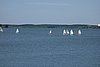 DSC01481.JPG
