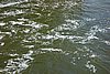 DSC01482.JPG