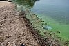 DSC01485.JPG