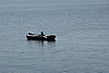 DSC01491.JPG