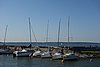 DSC01495.JPG