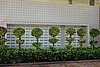 DSC01937.JPG
