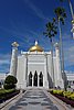 DSC01941.JPG