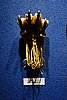 DSC01977.JPG