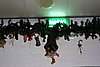 DSC01981.JPG