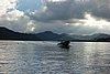 DSC02009.JPG
