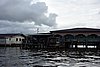 DSC02017.JPG