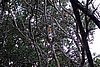 DSC02020.JPG