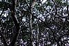 DSC02021.JPG