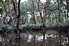 DSC02022.JPG