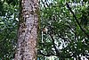 DSC02025.JPG
