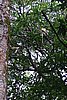 DSC02026.JPG