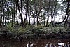 DSC02027.JPG