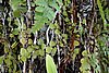 DSC02118.JPG