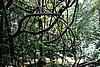 DSC02137.JPG