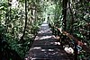 DSC02139.JPG