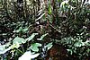 DSC02140.JPG