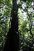 DSC02141.JPG