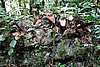DSC02144.JPG