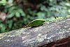 DSC02147.JPG