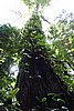 DSC02156.JPG