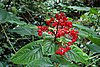 DSC02158.JPG