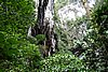 DSC02163.JPG