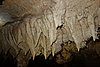 DSC02174.JPG
