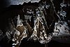 DSC02175.JPG