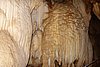 DSC02177.JPG