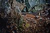 DSC02210.JPG
