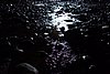 DSC02217.JPG