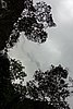 DSC02236.JPG