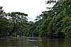 DSC02241.JPG