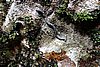DSC02286.JPG