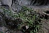 DSC02295.JPG