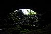 DSC02307.JPG