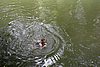 DSC02319.JPG