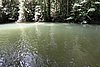 DSC02321.JPG