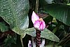 DSC02337.JPG
