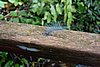 DSC02341.JPG