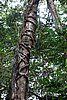 DSC02342.JPG