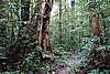 DSC02343.JPG