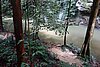 DSC02350.JPG