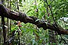 DSC02365.JPG