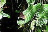 DSC02368.JPG