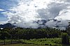 DSC02370.JPG