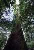 DSC02382.JPG
